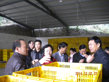 vsport(中国区)官方网站