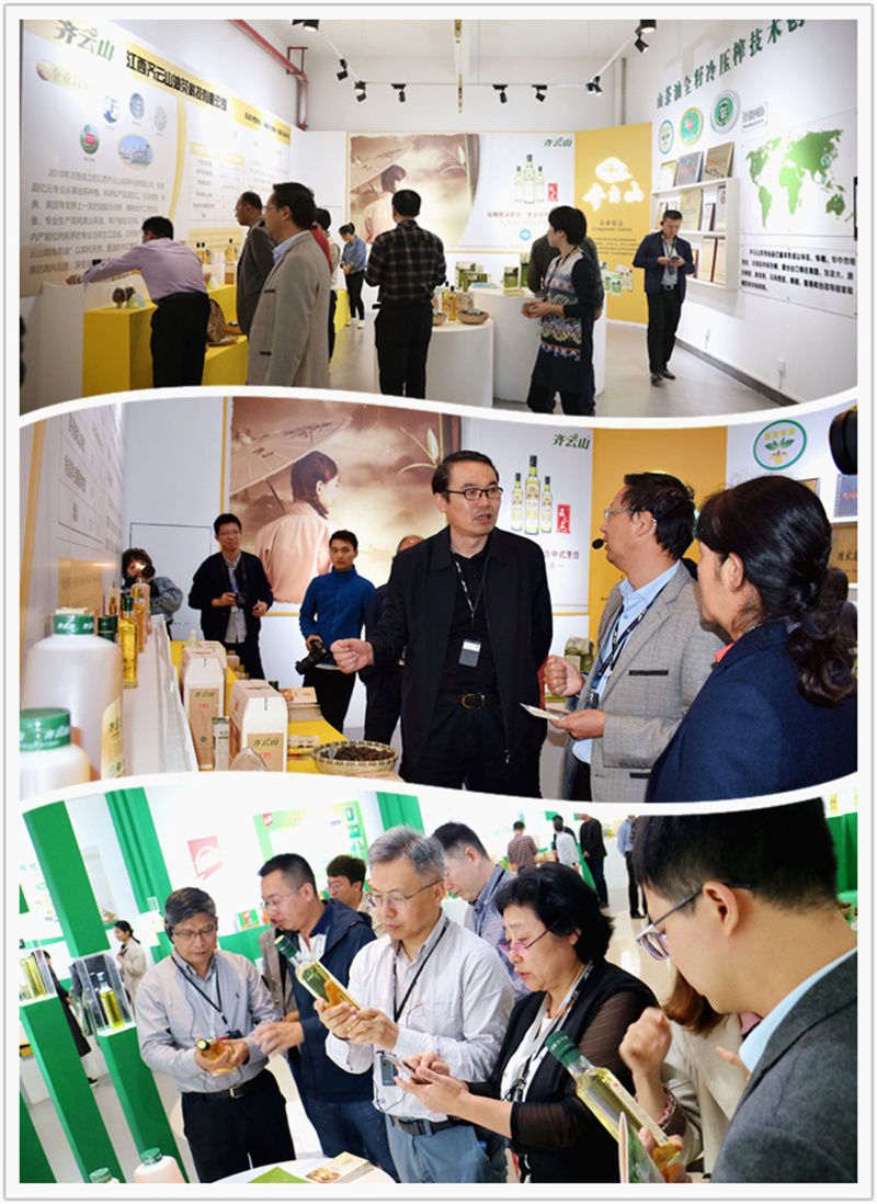 旅行VSport官网油茶公司展厅 (2).jpg