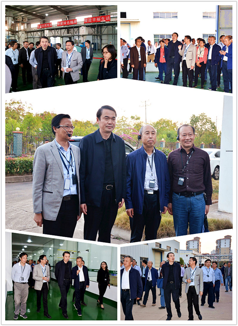 旅行VSport官网公司.jpg