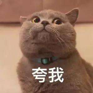 图片8.jpg