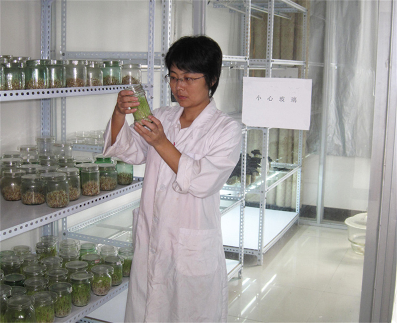 立异引发汹涌动能，，，，，，，透视2019年度江西省科学手艺奖04.jpg