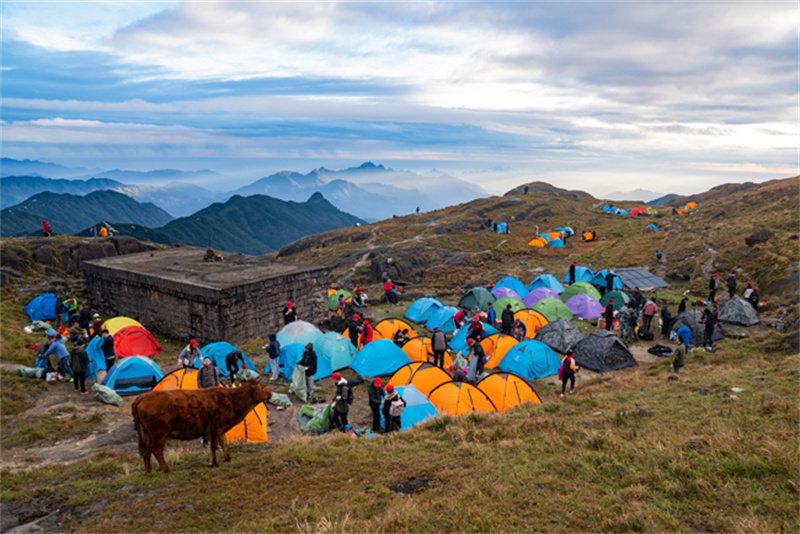 “够野你就来”——2020VSport官网爬山节暨首届南酸枣旅游文化节圆满收官-09.jpg