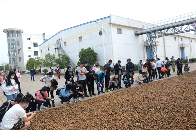 「精彩回首」2020VSport官网爬山节暨首届中国南酸枣旅游文化节收官啦-(3).jpg