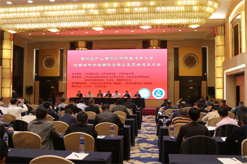 vsport(中国区)官方网站