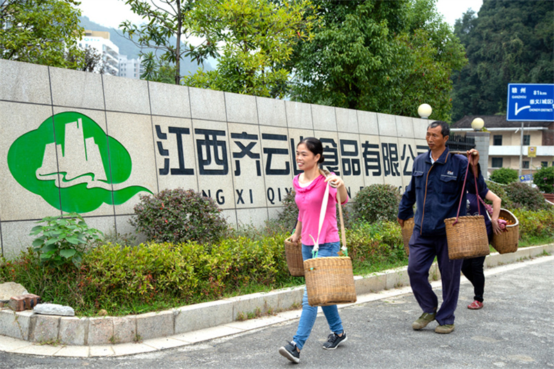 这家企业靠什么，，，，，，让产品一连24年通过“绿色食物”认证 (4).jpg