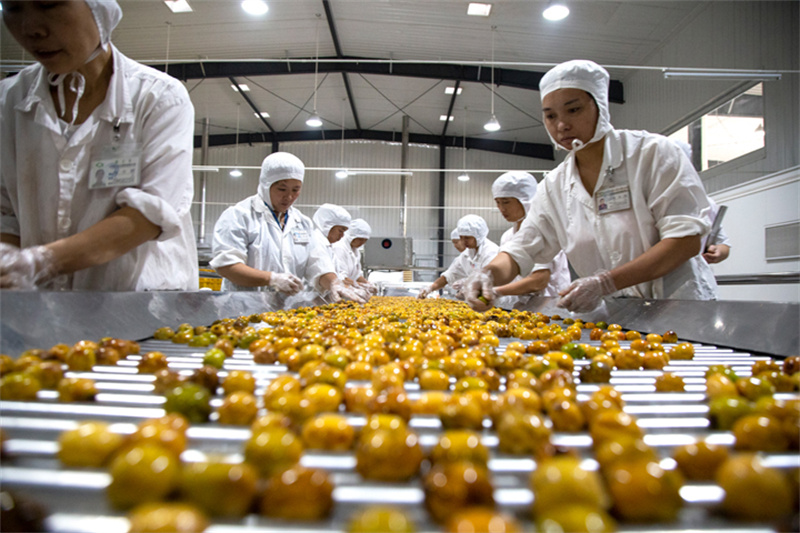 这家企业靠什么，，，，，，让产品一连24年通过“绿色食物”认证 (7).jpg