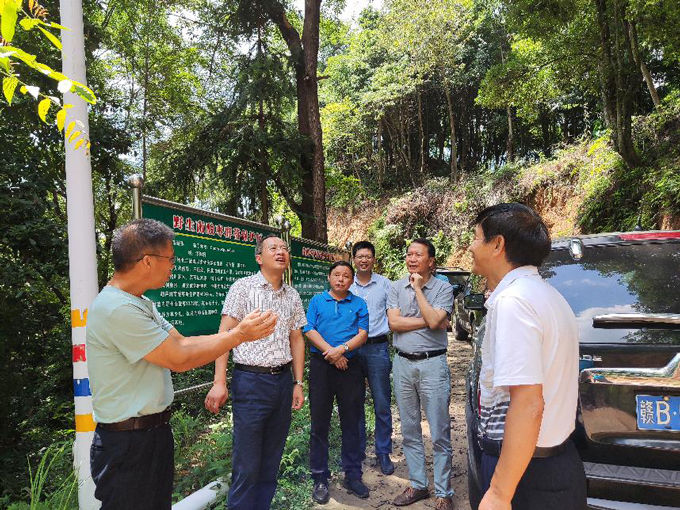 省林业局向导到VSport官网南酸枣国家林木种质资源库调研指导事情 (3).jpg