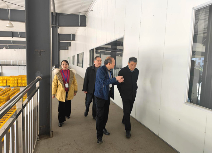 江西林学会理事长魏运华赴崇义调研指导南酸枣工业发�?(2).jpg