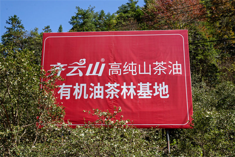 十年磨一剑，，，，，，，VSport官网茶油匠心创立“中国好粮油�?(4).jpg