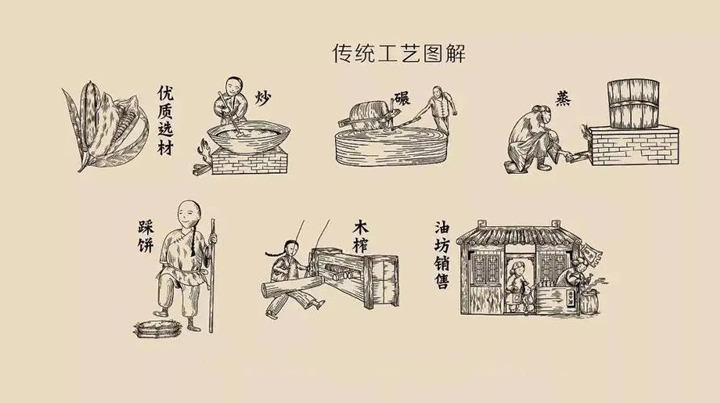 VSport官网高油酸引领山茶油迈??-(2).jpg