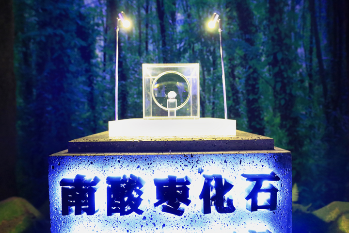 单品年售10亿粒，，，，，，，，这颗南酸枣糕究竟多“硬核”——文化篇-11.jpg