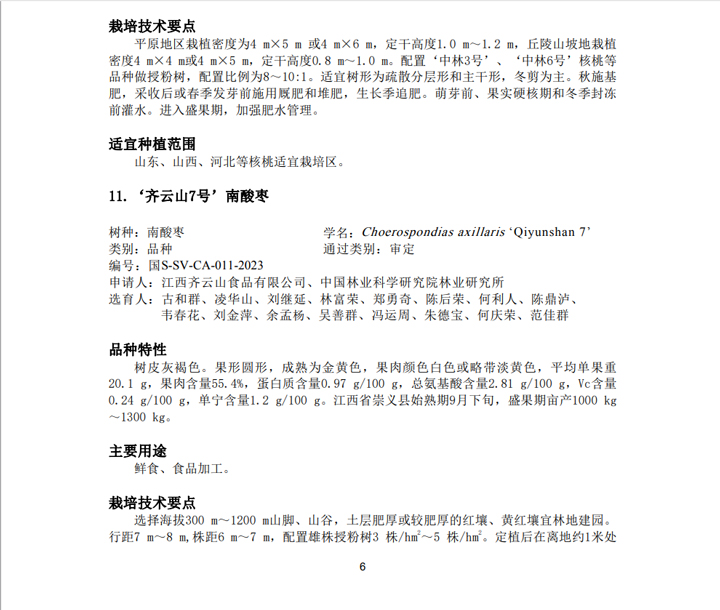 我公司选育??个果用南酸枣新品种又获国家级林木良种审定03.jpg