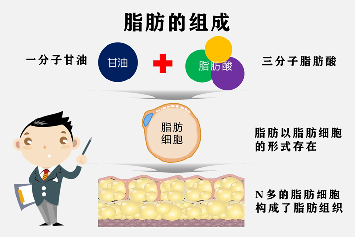 干货分享丨关于甘油三酯的那些事儿03.jpg