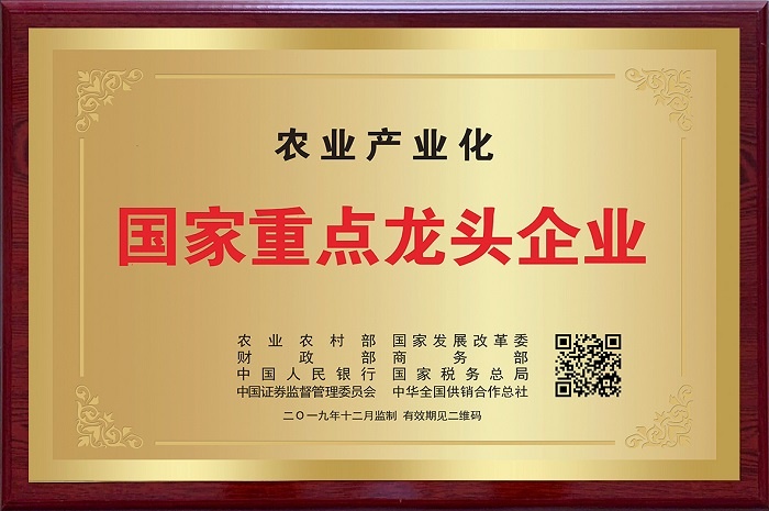 南酸枣龙头与足球冠军的双向奔赴——VSport官网300万总冠名赣超赣州队 2.jpg