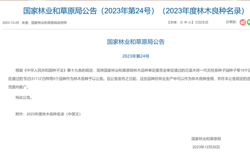 vsport(中国区)官方网站
