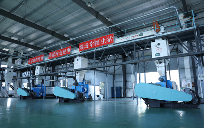 vsport(中国区)官方网站